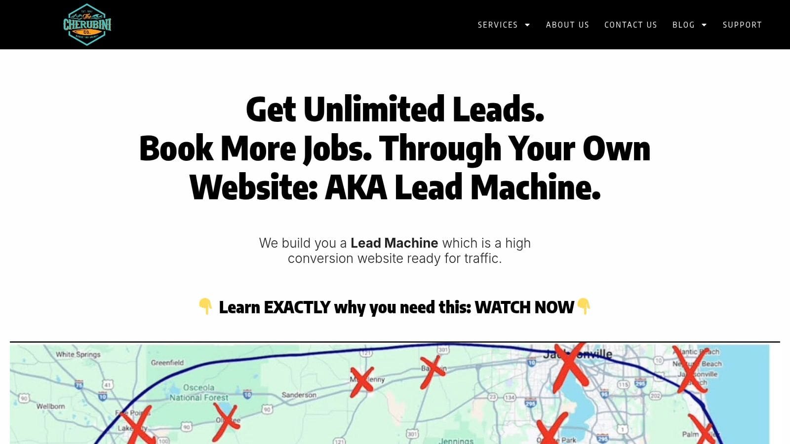 Screenshot from https://cherubinicompany.com/lead-machines